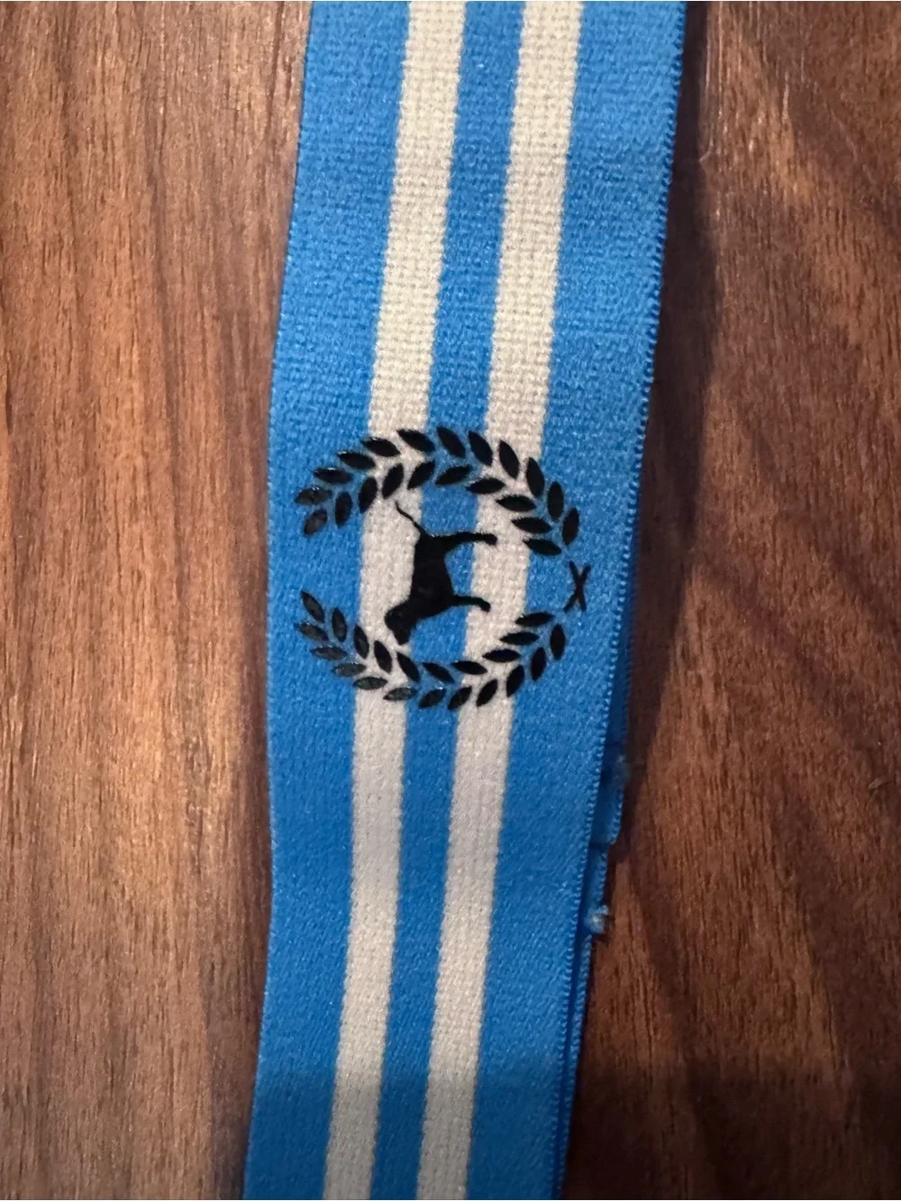 Blue Striped Athletic Headband